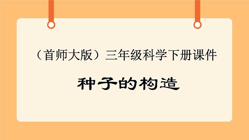 《13.种子的构造》六课时 教案+课件01