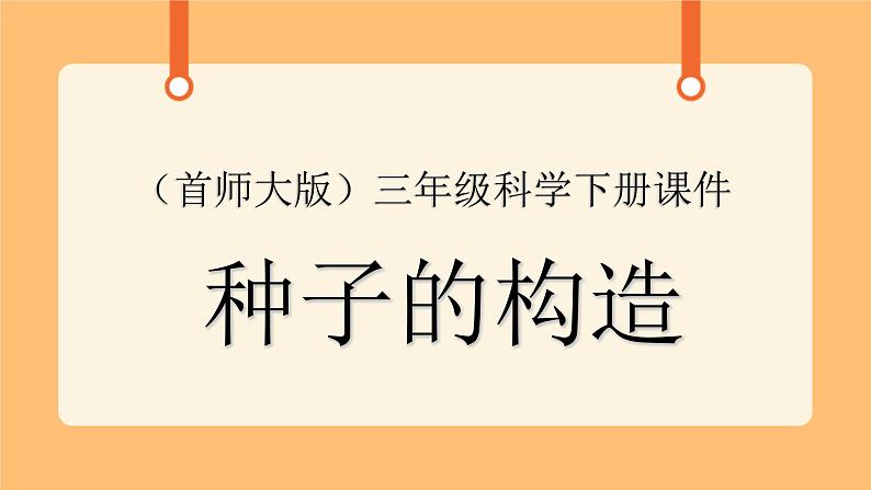 《13.种子的构造》六课时 教案+课件01