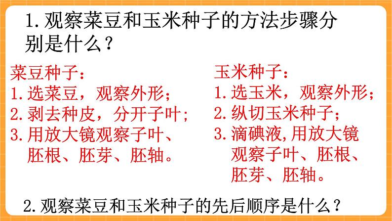 《13.种子的构造》六课时 教案+课件05