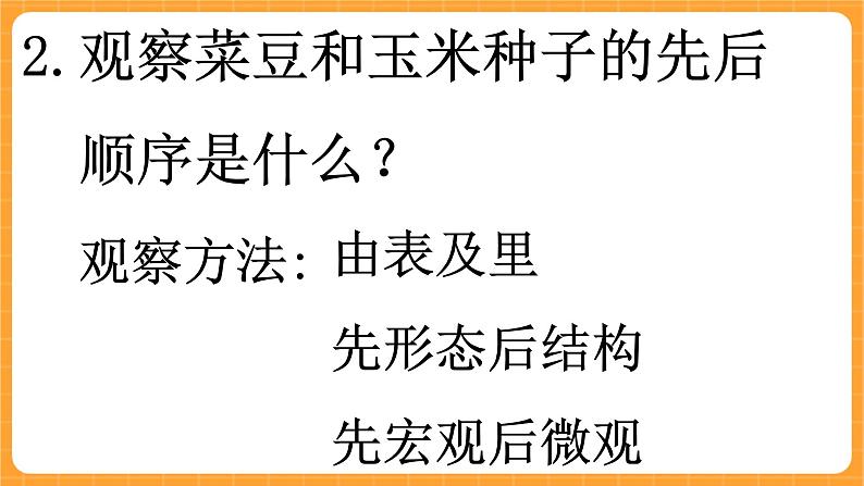 《13.种子的构造》六课时 教案+课件06