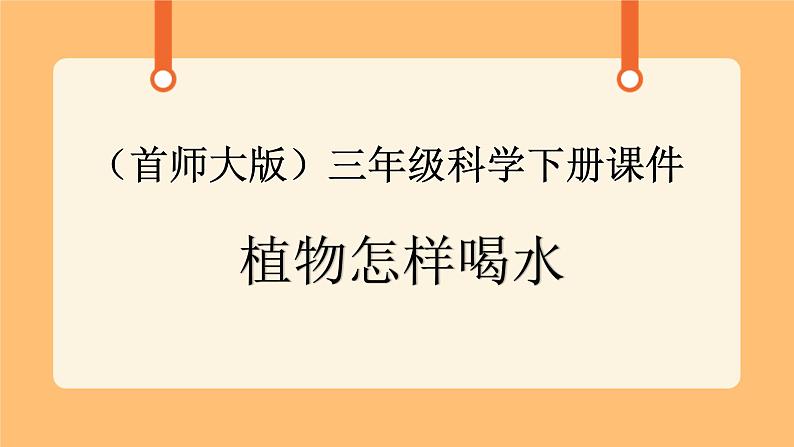 《15.植物怎样喝水》教案+课件01