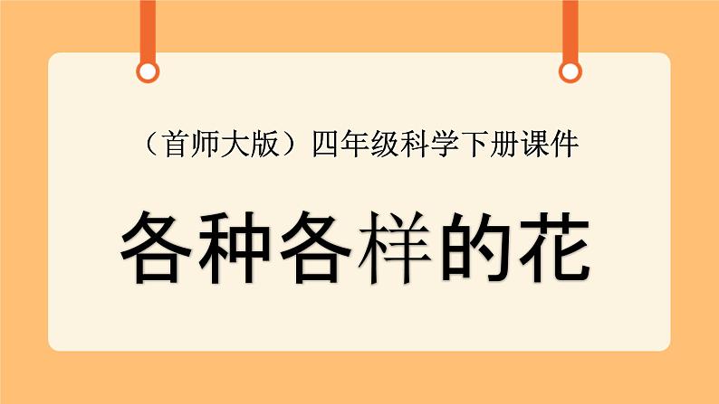 《9.花的构造》第一课时 课件第1页