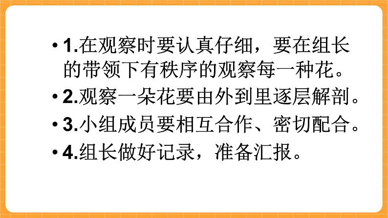 《9.花的构造》第一课时 课件第3页