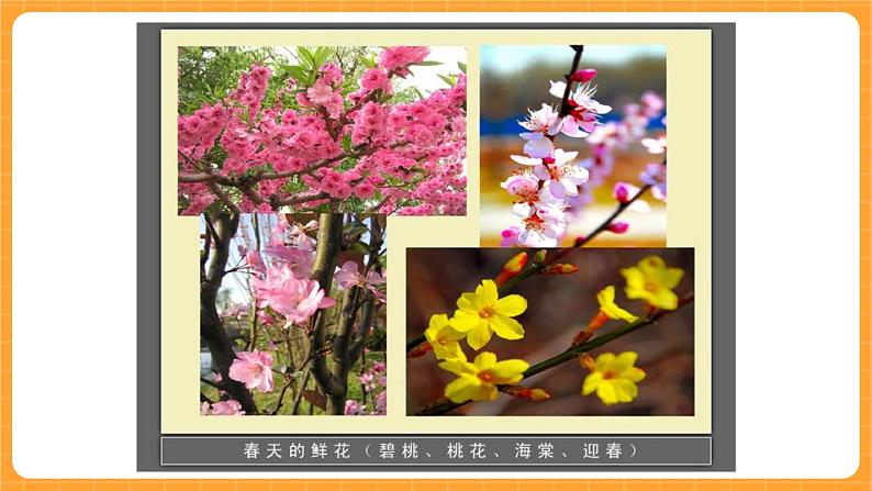 《9.花的构造》第一课时 课件第7页