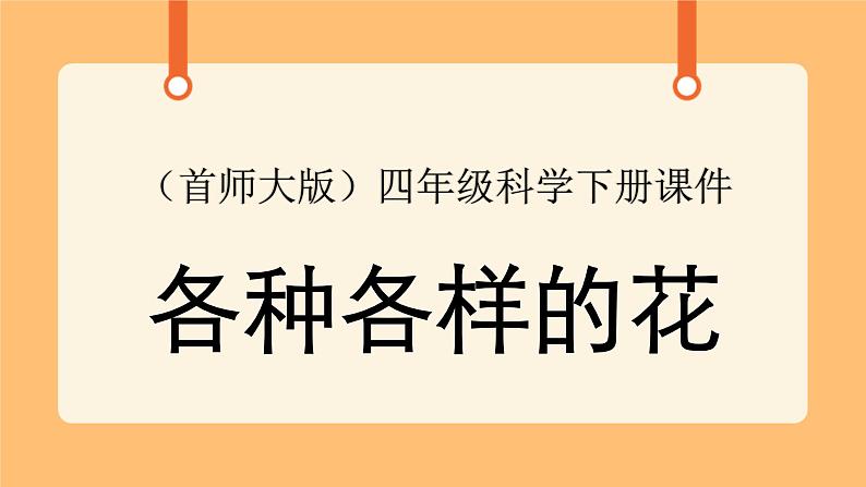 《9.花的构造》第四课时 课件第1页