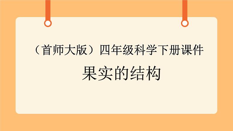 《11.果实的结构》第一课时 课件第1页