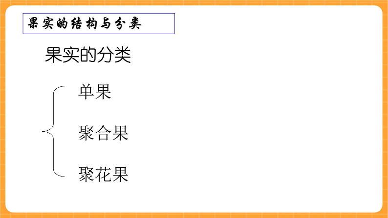 《11.果实的结构》第一课时 课件第3页