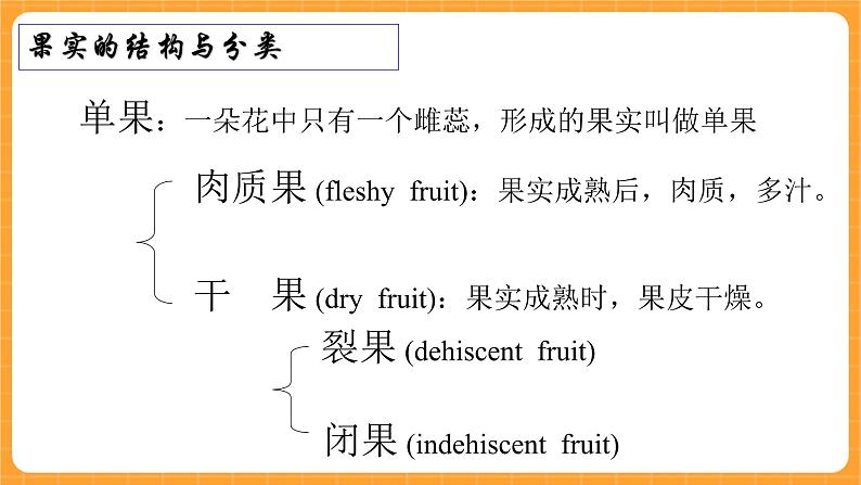 《11.果实的结构》第一课时 课件第4页