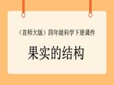 《11.果实的结构》第二课时 教案+课件