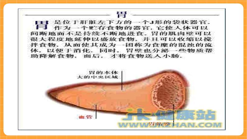 《14.爱护胃和肠》课件第6页