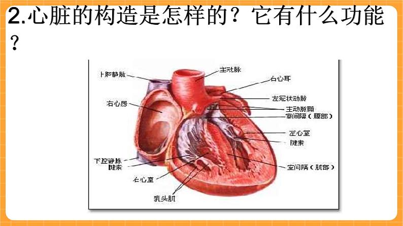 《16.心脏的保健》第二课时 课件第5页