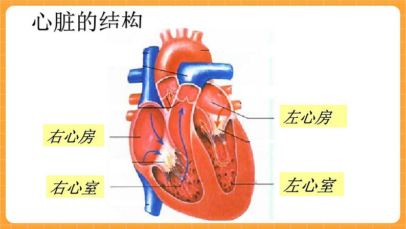 《16.心脏的保健》第三课时 课件第4页