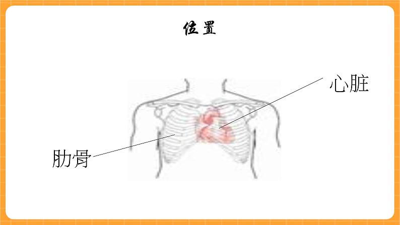 《16.心脏的保健》第一课时 课件第2页