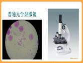 《1.显微镜的发明与发展》课件+教案