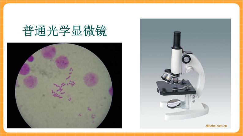 《1.显微镜的发明与发展》课件第4页
