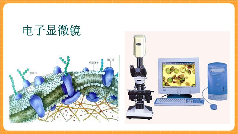 《1.显微镜的发明与发展》课件第5页