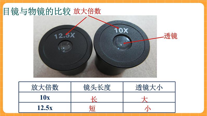 《1.显微镜的发明与发展》课件第8页