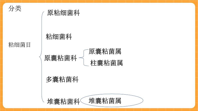 《4.微生物的技术》课件+教案04