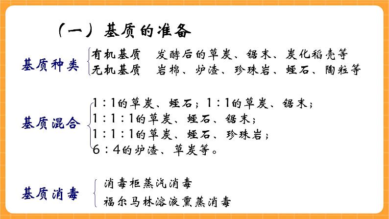《14.无土栽培》课件+教案07