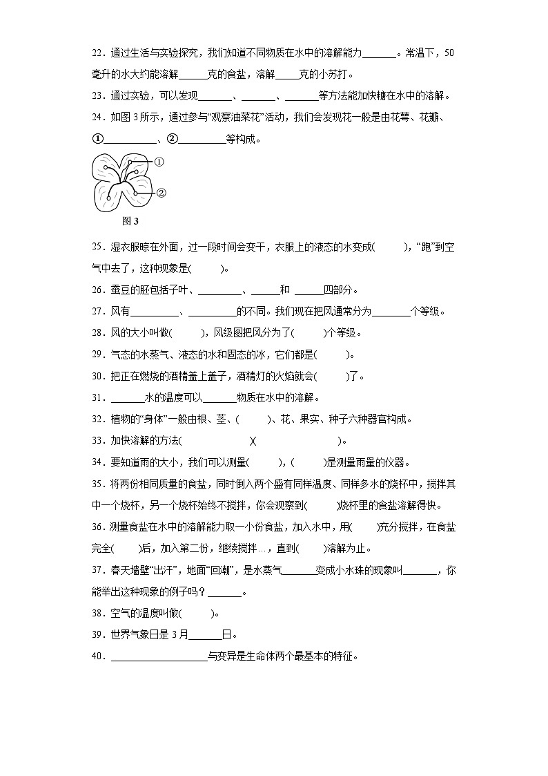 期末专题复习填空题真题演练三年级下册科学湘科版02