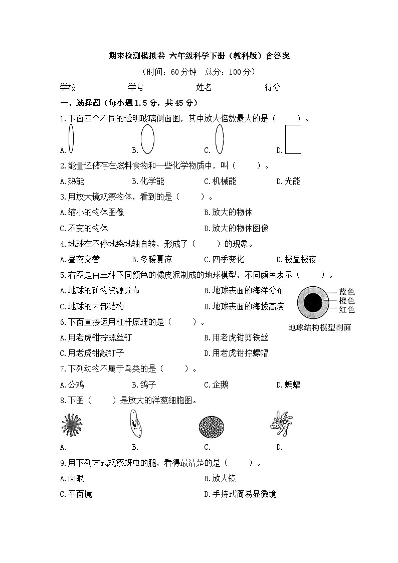 2022-2023学年六年级科学下册期末模拟卷二（教科版）01