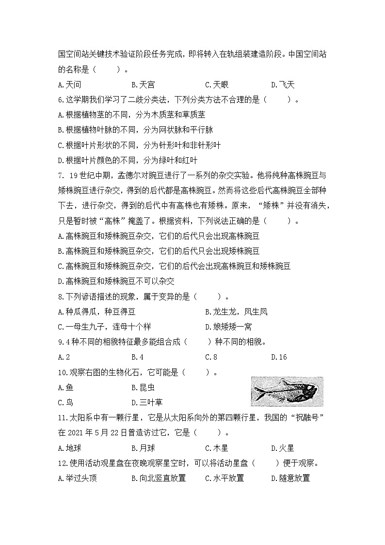 2022-2023学年六年级科学下册期末模拟卷四（教科版）第2页