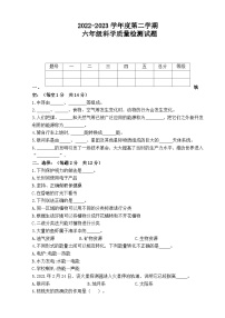 2022-2023学年六年级科学下册期末模拟卷四（青岛版）