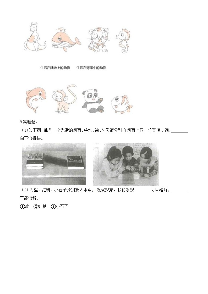 小学科学教科版（2017）一年级下册期末模拟卷2（含答案）02