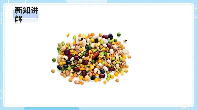 【大象版】一上科学  1.3《不一样的豆子》课件+教案+练习04