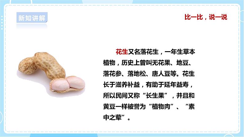 【大象版】一上科学  1.3《不一样的豆子》课件+教案+练习05