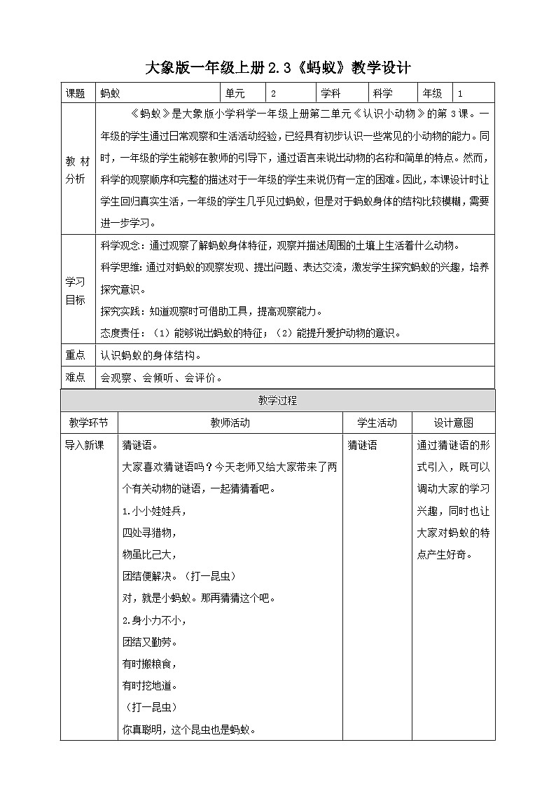 【大象版】一上科学  2.3《蚂蚁》课件+教案+练习01