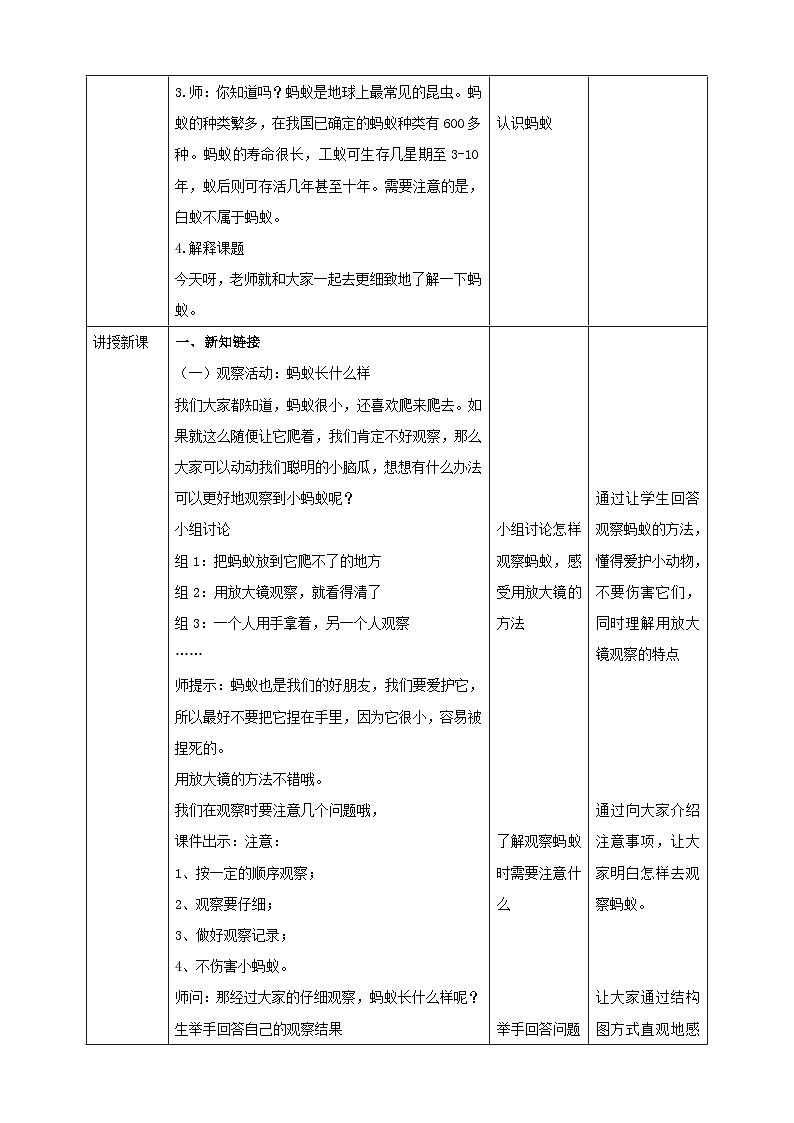 【大象版】一上科学  2.3《蚂蚁》课件+教案+练习02