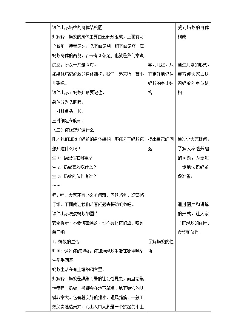 【大象版】一上科学  2.3《蚂蚁》课件+教案+练习03