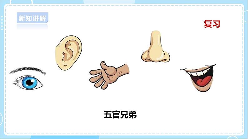 1.2《观察水果》课件第6页