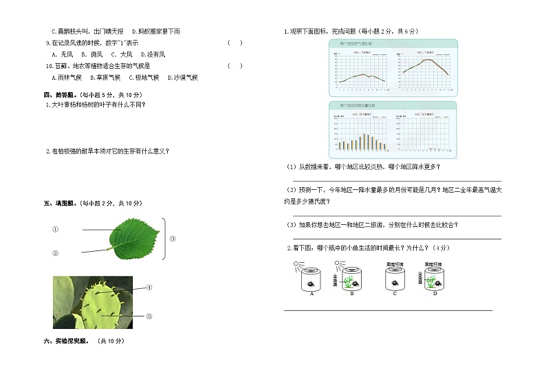 小学科学苏教版（2017）三年级下册期末模拟卷十（含答案）第2页