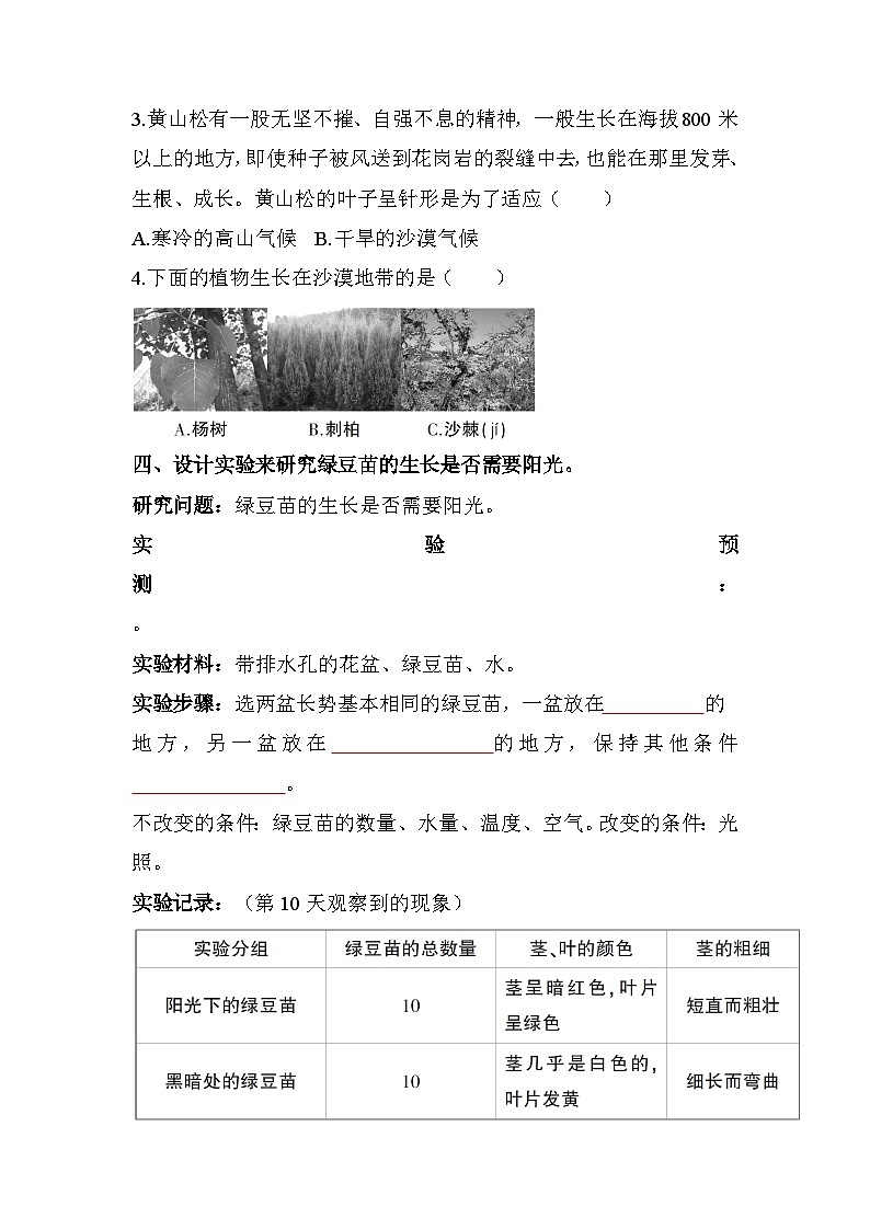 新教科版五年级下册科学1-3《绿豆苗的生长》课后练习+答案02