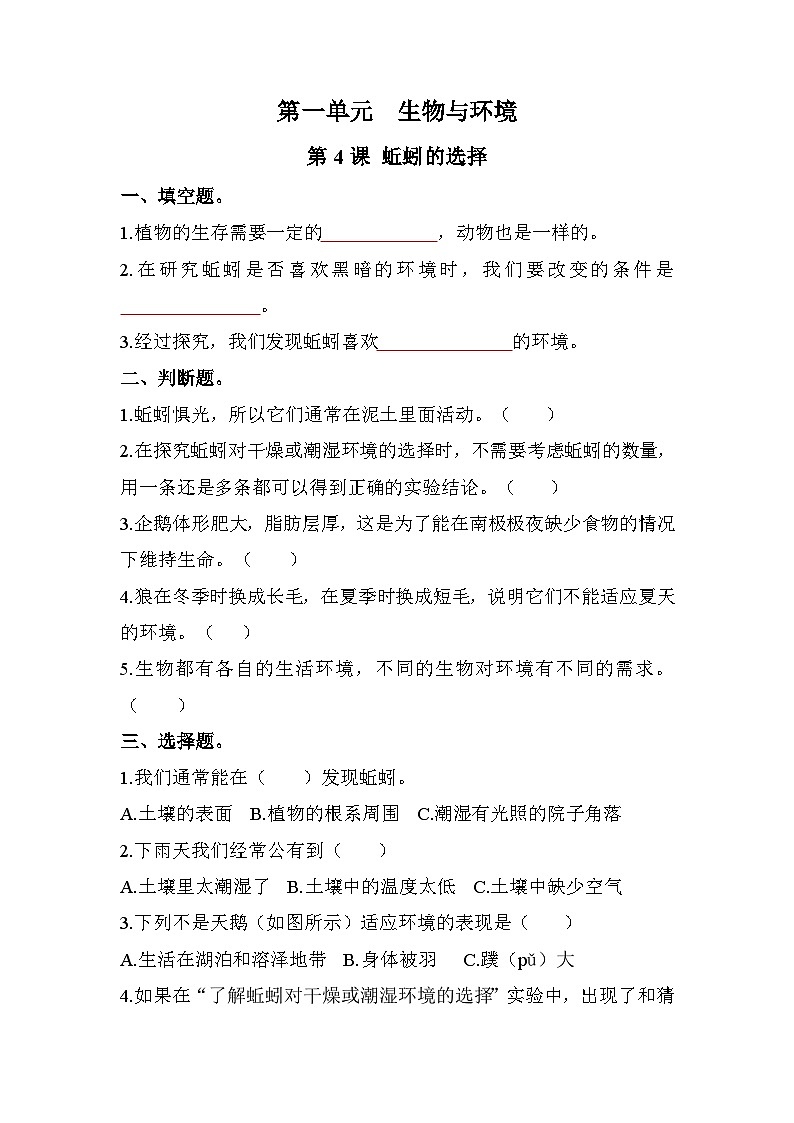 新教科版五年级下册科学1-4《蚯蚓的选择》课后练习+答案第1页
