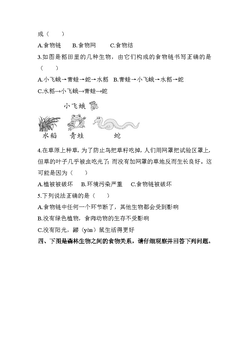 新教科版五年级下册科学1-6《食物链和食物网》课后练习+答案02