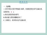 1.1 水到哪里去了 习题课件 三年级上册科学教科版