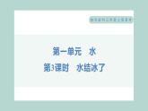 1.3 水结冰了 习题课件 三年级上册科学教科版