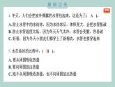 1.3 水结冰了 习题课件 三年级上册科学教科版