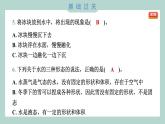 1.4 冰融化了 习题课件 三年级上册科学教科版