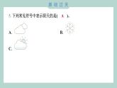 3.1 我们关心天气 习题课件 三年级上册科学教科版