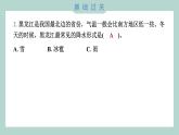 3.4 第测量降水量 习题课件 三年级上册科学教科版