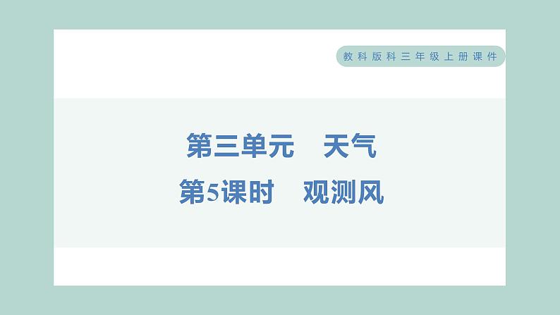 3.5 观测风 习题课件 三年级上册科学教科版第1页