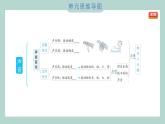 第一单元 声音  综合素养提优习题课件 四年级上册科学教科版