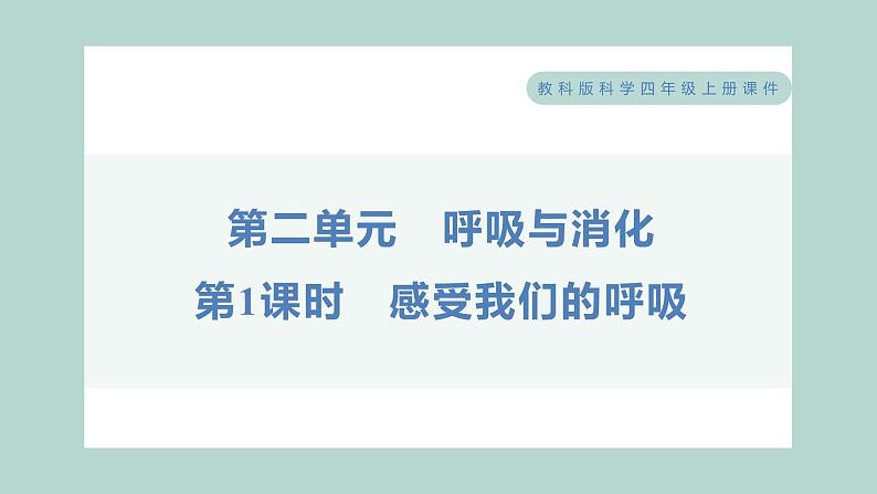 2.1 感受我们的呼吸习题课件 四年级上册科学教科版01