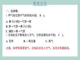 2.1 感受我们的呼吸习题课件 四年级上册科学教科版