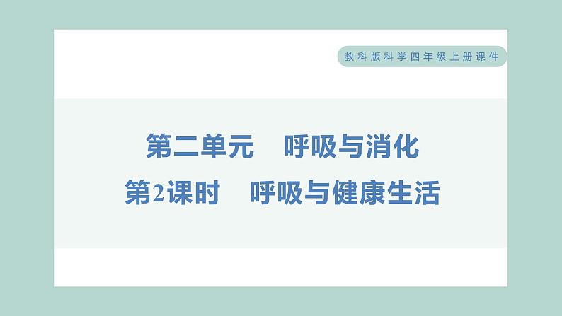 2.2 呼吸与健康生活习题课件 四年级上册科学教科版01