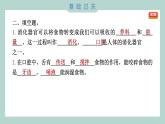 2.7 食物在口腔里的变化习题课件 四年级上册科学教科版
